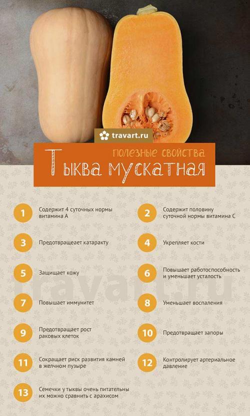 Тыква мускатная содержание полезных веществ. Тыква мускатная 02 Тыква мускатная содержание полезных веществ. Тыква мускатная 02