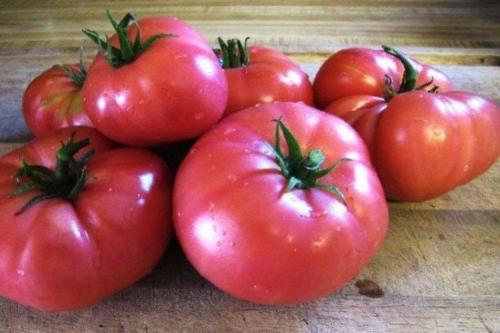 Что такое розовые помидоры. Розовые помидоры: лучшие сорта с фото и названиями (каталог)