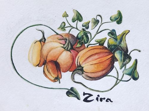 Интересные факты о тыкве. 8 интересных фактов о тыкве