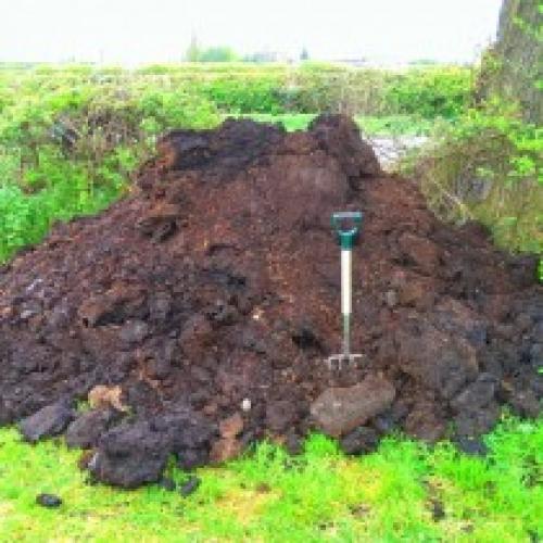 Какие виды навоза наиболее эффективны для улучшения состояния почвы после выращивания одного вида растений. Виды навоза и его особенности