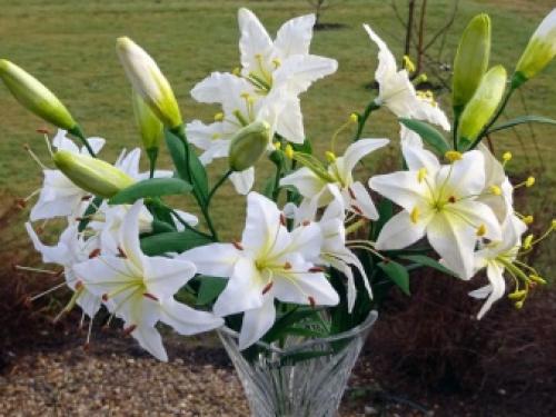 Уход за лилиями осенью и подготовка к зиме. Что следует учесть при подготовке осенью 15