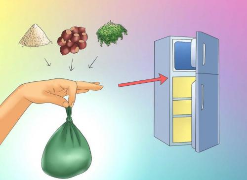 Каштан: как и когда пересадить дерево для его здоровья и роста 03 Каштан: как и когда пересадить дерево для его здоровья и роста 03