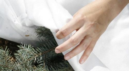 Как подготовить лилиейники к зиме. Подкормка 03