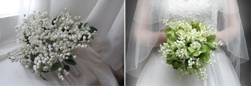 Ландыши ядовитые. Описание ландыша, как выглядит, фото