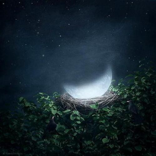 Лунный посевной календарь на август 2023: как выбрать оптимальный срок для сева 01 Лунный посевной календарь на август 2023: как выбрать оптимальный срок для сева 01