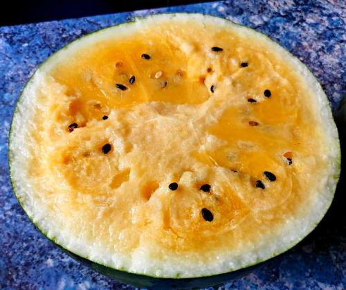 Желтый арбуз: история создания гибридного растения 04