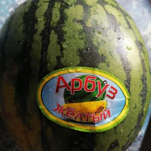 Желтый арбуз: история создания гибридного растения 03