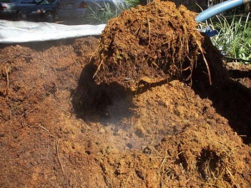 Конский навоз, как удобрение, как применять. Конский навоз, как удобрение – виды, характеристика, как применять