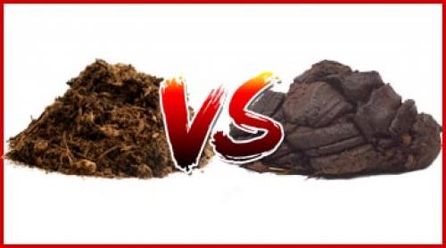 Что лучше перегной или навоз для огорода. Перегной или навоз, как удобрение, что лучше?!