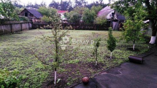 Выбираем белый клевер для газона. Белый клевер для газона, отзывы садоводов, фото, посев и выращивание