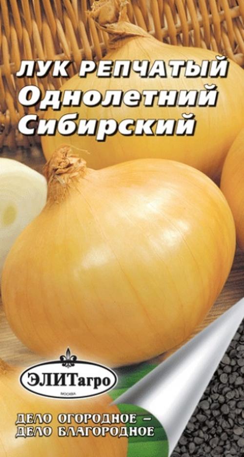 Какие характеристики имеет лук репчатый сибирский фиолетовый