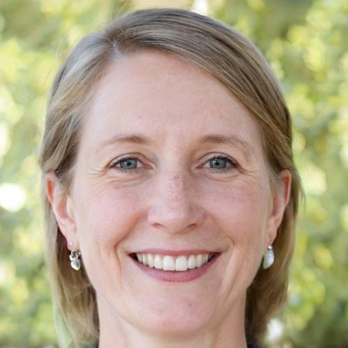 Что лучше для огорода торф или навоз. Что лучше, торфа или перегноя для огорода