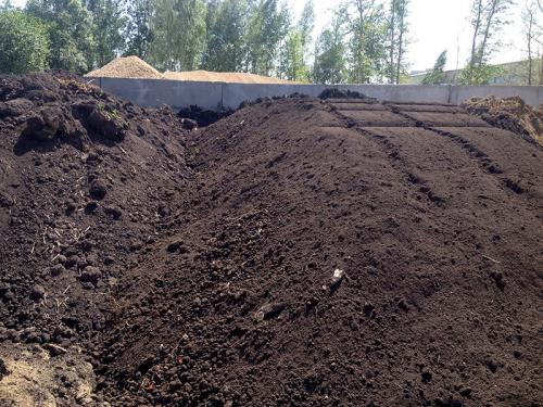 Что лучше для огорода торф или навоз. Что лучше, торфа или перегноя для огорода