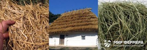 Что лучше для огорода сено или солома. Чем отличается сено от соломы
