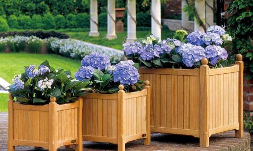 Все для сада и огорода. Товары для сада и огорода – обзор