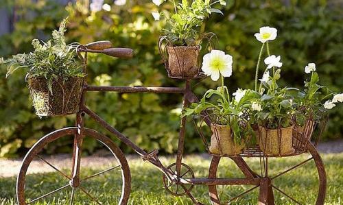 Все для сада и огорода. Товары для сада и огорода – обзор