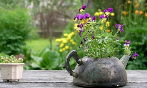 Все для сада и огорода. Товары для сада и огорода – обзор