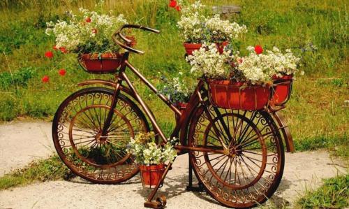 Все для сада и огорода. Товары для сада и огорода – обзор