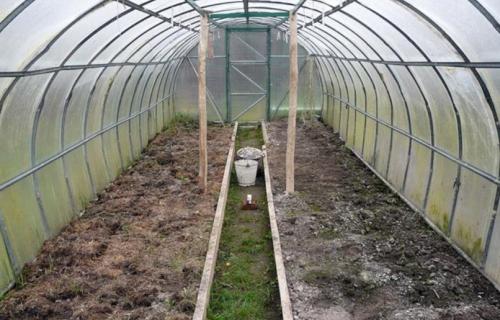 Можно ли вносить навоз осенью в теплицу. Подготовительные работы