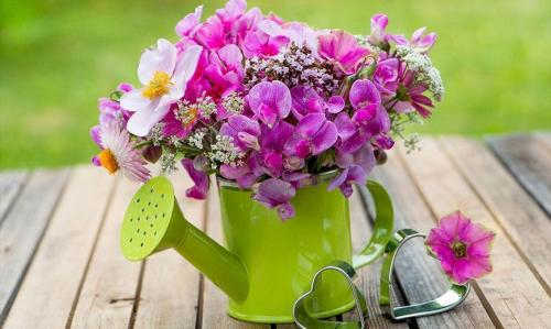 Все для сада и огорода. Товары для сада и огорода – обзор