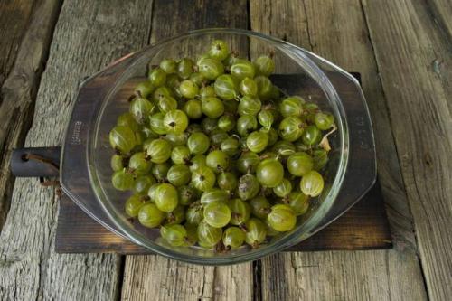 Нужно ли прокалывать крыжовник для варенья. Варенье-пятиминутка из крыжовника на зиму