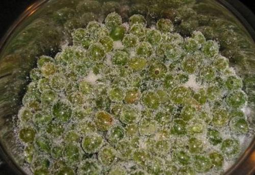 Нужно ли прокалывать крыжовник для варенья. Варенье-пятиминутка из крыжовника на зиму