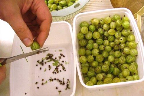 Варенье из крыжовника черного. 20 рецептов ароматного варенья из крыжовника 06