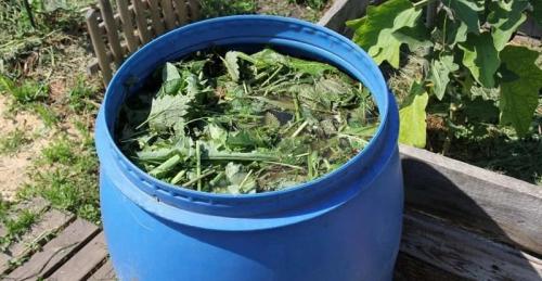 Органические удобрения своими руками. 7 удобрений для огорода, которые можно сделать самостоятельно, чтобы не покупать химию