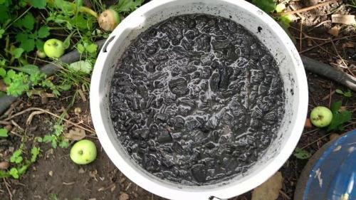 Органические удобрения своими руками. 7 удобрений для огорода, которые можно сделать самостоятельно, чтобы не покупать химию