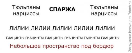 Как выглядят белые водяные лилии