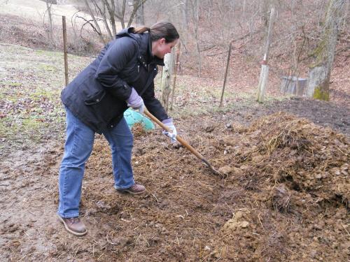 Когда надо вносить перегной осенью или весной. Подкормка растений конским навозом 02
