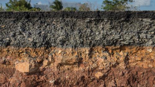 Перегной осенью под деревья. Органические удобрения