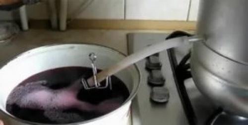 Сливовый сок через соковыжималку на зиму. Сок из сливы на зиму через соковыжималку – рецепты приготовления, видео