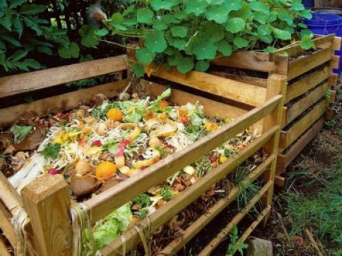 Для чего нужен компост. Для чего нужно органическое удобрение компост