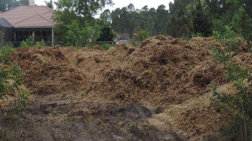 Навоз в саду: как правильно вносить и когда это делать 13 Навоз в саду: как правильно вносить и когда это делать 13