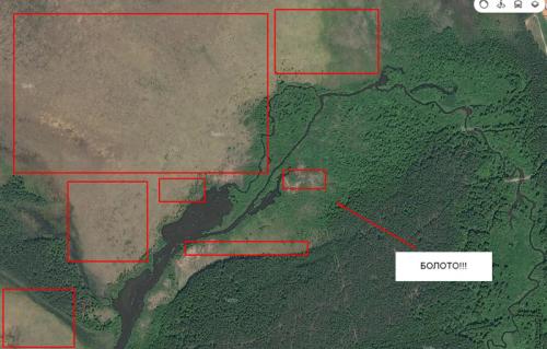 Грибы сосновый бор. Как найти свои грибные места.