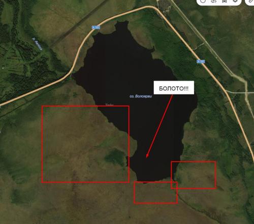 Грибы сосновый бор. Как найти свои грибные места.