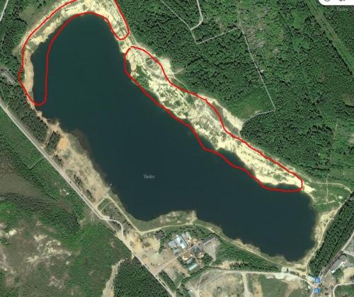 Грибы сосновый бор. Как найти свои грибные места.