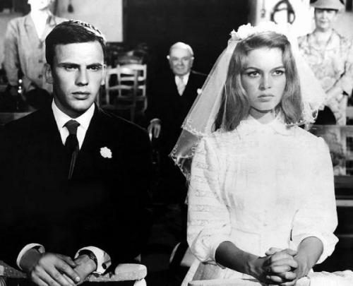 Сент бриджит является моей любимицей. Анемона корончатая: основные сорта 11