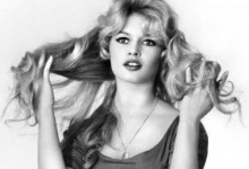 Сент бриджит является моей любимицей. Анемона корончатая: основные сорта 02