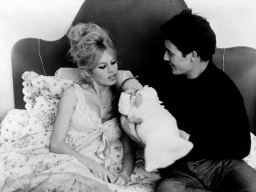 Сент бриджит является моей любимицей. Анемона корончатая: основные сорта 13