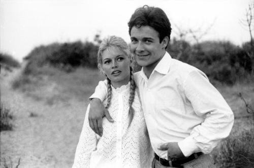 Сент бриджит является моей любимицей. Анемона корончатая: основные сорта 12