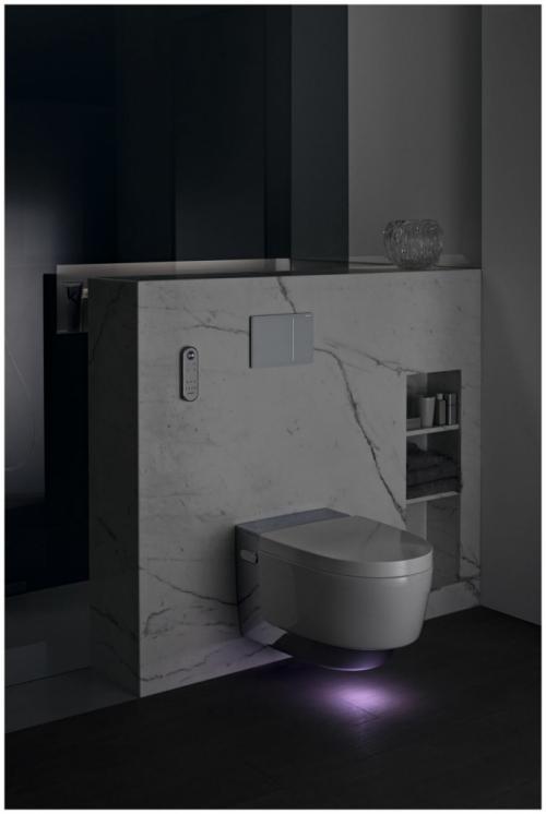 Какие функции имеют говорящие унитазы