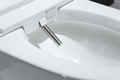 Какие функции имеют говорящие унитазы