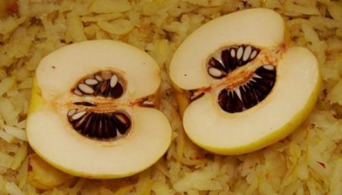 Айва японская описание. Видео: цветение хеномелеса