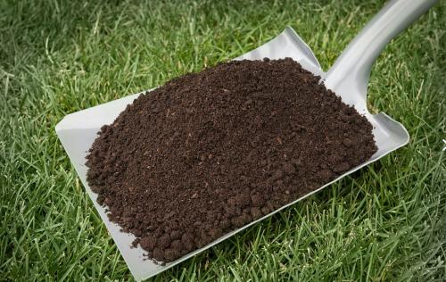 Перегной: ключ к здоровому почвенному экосистеме 03