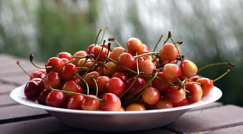 Самые крупные сорта черешни. Черешня крупноплодная: особенности субкультуры 09 Самые крупные сорта черешни. Черешня крупноплодная: особенности субкультуры 09