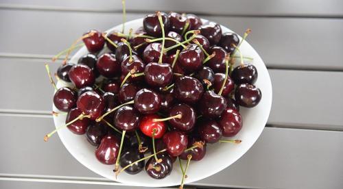 Самые крупные сорта черешни. Черешня крупноплодная: особенности субкультуры 08 Самые крупные сорта черешни. Черешня крупноплодная: особенности субкультуры 08