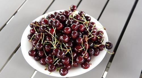 Самые крупные сорта черешни. Черешня крупноплодная: особенности субкультуры 06 Самые крупные сорта черешни. Черешня крупноплодная: особенности субкультуры 06