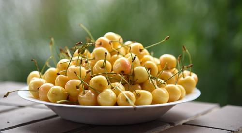 Самые крупные сорта черешни. Черешня крупноплодная: особенности субкультуры 03 Самые крупные сорта черешни. Черешня крупноплодная: особенности субкультуры 03